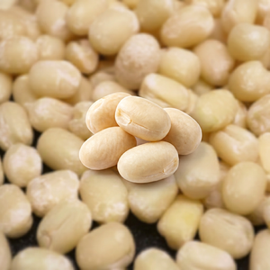Urad Dal Indien Nouvelle Récolte Qualité Supérieure Légumineuses FitTree International 25kg 24 Mois pour la Distribution Alimentaire Internationale - Product Image 1