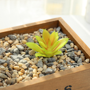 Accesorios Creativos para Manualidades, Pequeñas Cabezas de Flores de <span class=keywords><strong>Echeveria</strong></span>, Flores Artificiales de Plástico, Adornos Decorativos para el Hogar, Proceso de Resina - Product Image 2