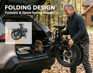 Qlife Hunter Spedizione Gratuita negli USA Bicicletta Elettrica Pieghevole da 20 Pollici con Pneumatici Larghi per Adulti, Adatta a Tutti i Terreni - Product Image 6