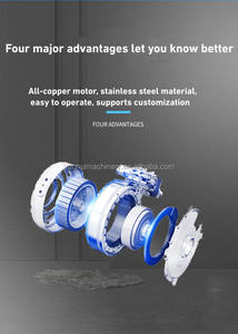 เครื่องถอดแกนแอปเปิ้ลสายการผลิตชิปแอปเปิลประสิทธิภาพสูง - Product Image 6