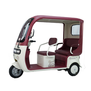 Tricycle électrique à 3 roues pour passagers, moteur 1000W, 2 places, auvent pour personnes âgées, homologué CE, tension 48V, type de carrosserie ouverte - Product Image 1