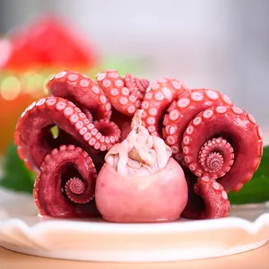 Healthy food wholesale delicious live octopus for sale