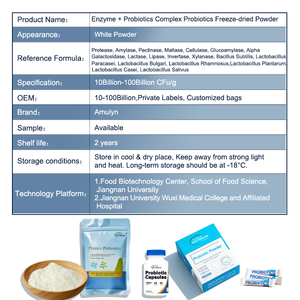 Polvo Probiótico de Bifidobacterium Bifidum de Alta Pureza, 100 Mil Millones de UFC/g, Suplemento Probiótico Personalizado para la Salud Intestinal - Product Image 4