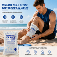 Manufacturers Custom Disposable Ice Bag Refrigerated Self-Absorbing Water Ice Cold Packs