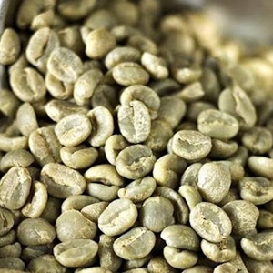 Granos de Café Verde Especiales Mokka H1 Arábica Vietnamita, Grado 1, Cultivo Sostenible - Product Image 1