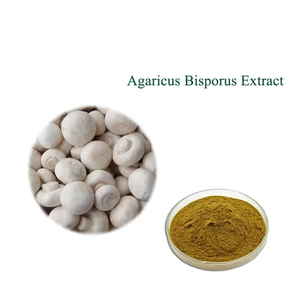 สารสกัดจากไมซีเลียมบิสปอรัส10%-30% สารสกัดจากเห็ดไบโซรัส - Product Image 2