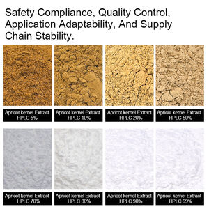 100% 天然アプリコットカーネル果実エキス有機アプリコットエキス粉末 - Product Image 2