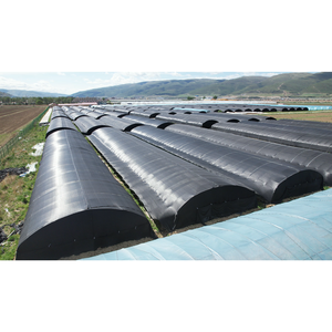 Low <strong>Cost</strong> High Commercial Agricultural <strong>Poly</strong> <strong>Tunnel</strong> Grow Tent System Mushroom Greenhouse for Flowers Plant - Product Image 1