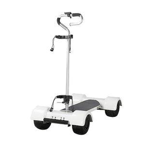 Scooter Eléctrico de 1600W y 4 <span class=keywords><strong>Ruedas</strong></span>, Citycoco Motorizado para Golf <span class=keywords><strong>con</strong></span> Soporte para Bolsa de Golf, Carritos de Golf Motorizados en Venta - Product Image 1
