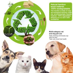 Sisir dan sikat perawatan bulu hewan peliharaan kucing dan anjing dari bambu zebra dengan logo custom grosir pabrik - Product Image 5