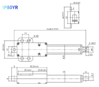 AISmartlink Pabrik OEM ODM Aktuator Linear Elektrik 200N DC 24V Batang Teleskopik Mini Batang Pengangkat Bolak-balik Model IP80