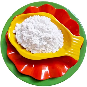 चीन diatomite खाद्य ग्रेड पाउडर diatomaceous पृथ्वी celite आपूर्तिकर्ताओं खनिज में diatomite हवा