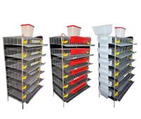 Système d'alimentation automatique à 6 niveaux, cage pour cailles pondeuses de type H pour œufs