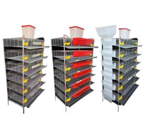 Sistema alimentador automático de 6 capas tipo H, jaula para huevos de codorniz - Product Image 4