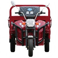 Tricycle électrique robuste 60 V 1 000 W, boîte en acier à benne basculante, convertible, pour l'agriculture