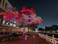 Smart Flood Light 50W RGB APP-Steuerung IP65 Wasserdicht im Freien für Baumwand Weihnachts dekoration Landschafts beleuchtung