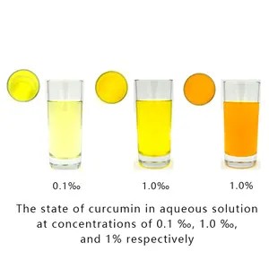 Poudre de curcumine de curcuma fraîche de haute qualité