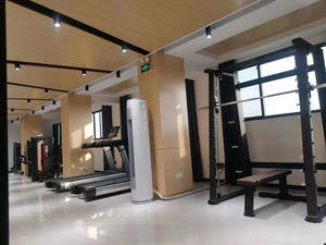 Máquina de Remo Larga para Ejercicios de Espalda y Musculación, Fabricada en China - Product Image 4