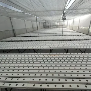 Obst Gewächshaus Smart Farm NFT Hydro ponic Growing System