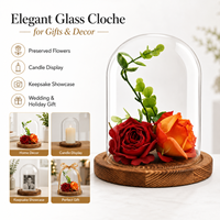 Cloche en verre Art Déco transparente avec base en bois naturel, motif solide, soufflée à la main, pour fleurs préservées, cadeaux de mariage, décoration