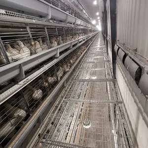 禽畜养殖电池设计金属丝网镀锌商用鸡笼用于层鸡