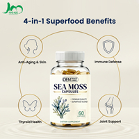 Capsules de mousse de mer végétalienne en gros avec varech et racine de bardane, haute puissance, soutien immunitaire et thyroïdien, compléments végétaliens
