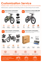 Vélo Électrique Romeo Pro 2 Eahora avec Moteur Personnalisé 200W 100W 200W 300W 52V 60Ah – Le Moins Cher pour Importateurs