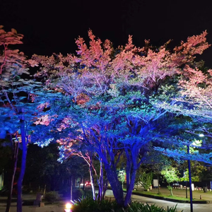 Luces Decorativas para Árboles de Exterior para Parques, Jardines y Festividades, Iluminación LED Impermeable con Clasificación IP65 - Product Image 1