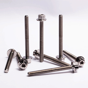 Tornillo de titanio M6 M3 gr5 Pernos de titanio Motocicleta Bicicleta M8 Pernos de titanio M5 M10 para motocicleta - Product Image 1