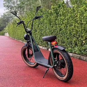 CE Cheap Folding Electrical Scooter Wholesale 1000W Offroad Electric Scooter 20inch Big Wheel E Scooter