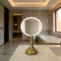 Miroir de salle de bain ZIHAN en acier inoxydable argenté 9'' à hauteur réglable, moderne, avec 3 LED HD, alimenté par batterie, finition dorée brossée