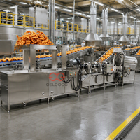 Friteuse Commerciale Automatique Professionnelle pour la Production de Poulet Frit, Tranches de Porc, Gâteaux de Poisson et Snacks