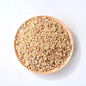 Highland-Gorhl-Landwirtschaftliche Produkte verteilt als Grobe Getreidefrüchte, die ihren Nährwert mit Reis steigern