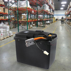 Zhongli 24v40ah ऑल-इलेक्ट्रिक पैलेट ट्रक बैटरी पैक के लिए छोटे किंग कोंग लिथियम बैटरी - Product Image 6