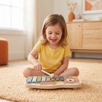 Joyful Wooden Musical Toy Set Percussion Instruments with Metal Xylophone Tambourines & Mallet Sensory Music Kit for Kids 3+