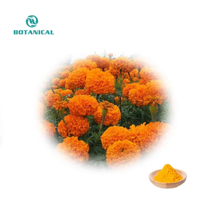 B.C.I Supply Extrait de fleur de souci de haute qualité 5% Poudre d'extrait de souci de zéaxanthine de lutéine - Product Image 3