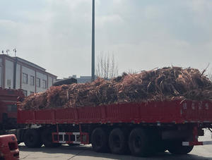 Cable <span class=keywords><strong>de</strong></span> Cobre Rojo ZONGHUI Barato con 99.99% <span class=keywords><strong>de</strong></span> Contenido <span class=keywords><strong>de</strong></span> Cobre, Chatarra <span class=keywords><strong>de</strong></span> Cable para Exportación <span class=keywords><strong>de</strong></span> Shandong a Corea del Sur, <span class=keywords><strong>Bélgica</strong></span>, Alemania, Europa - Product Image 6