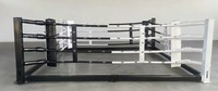 Ring de boxe pliable à montage rapide, autoportant, mobile, pliable, portable, pour le kickboxing