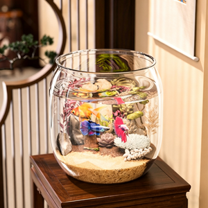 <span class=keywords><strong>Acquario</strong></span>, Vasca Ecologica Trasparente, Elemento Decorativo per Soggiorno, Paesaggio in Miniatura, <span class=keywords><strong>Acquario</strong></span> per Pesci Betta, Terrario per <span class=keywords><strong>Tartarughe</strong></span> - Product Image 1