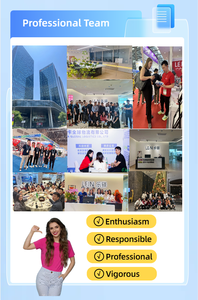 Spedizioniere Cinese, Servizio Rapido Mare+Ferrovia, Agente Logistico DDP, Magazzino USA, Container 20/40FT, 40/45HQ, 20GP, LCL+Trasporto su Ruote, Marca LEIN - Product Image 2