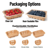 Kraftpapier productenmand met aangepast logo, geventileerd, hitteverzegelbaar, transparant deksel, fruit- en groentebak, food grade, bulkbestelling