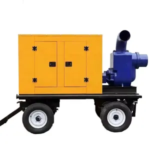 柴油发动机动力4英寸100毫米输水泵10HP DWP100，带钥匙启动可选