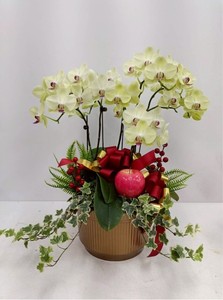 Jardinière en plastique empilable F223L pour les exportateurs d'orchidées et les acheteurs en gros - Product Image 4