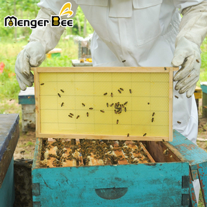 Nouveaux cadres de ruche avec feuilles de fond de teint en cire d'abeille cirée en plastique jaune et bois pour l'apiculture pour les fermes apicoles - Product Image 2