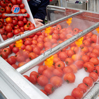 Hoge Kwaliteit Groente En Fruit Wasmachine Aardappel Tomaat Wortel Gember Fruit Wasmachine