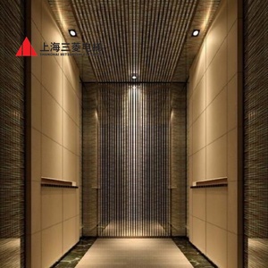 Ascenseur intérieur pour appartement de petite taille, de haute qualité et à prix abordable, en acier inoxydable, de la marque Mitsubishi - Product Image 3
