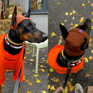 Gorro de <span class=keywords><strong>Pet</strong></span> Personalizado com Logo, Quente para Outono e Inverno, Ajustável com Cordão, à Prova de Vento, Macio e Plush, Chapéus de Tricô para Cães com Furos para as Orelhas - Product Image 5