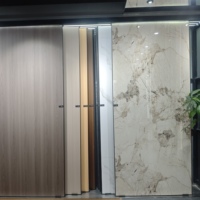 Panneau de charbon de bois de qualité supérieure avec conception de panneau de roche en carbone marbré pour une décoration murale élégante
