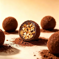 Disponible en OEM/ODM : Boules de chocolat truffé au noix, enrobées de cacao, confiserie, collation