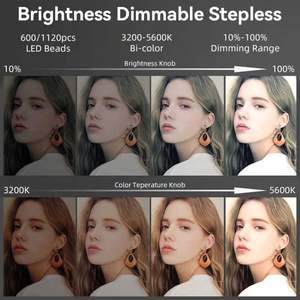 Lampe LED professionnelle de <span class=keywords><strong>studio</strong></span> LED 660 <span class=keywords><strong>PRO</strong></span>, panneau plat en métal, température de couleur réglable, télécommande pour éclairage en direct - Product Image 6